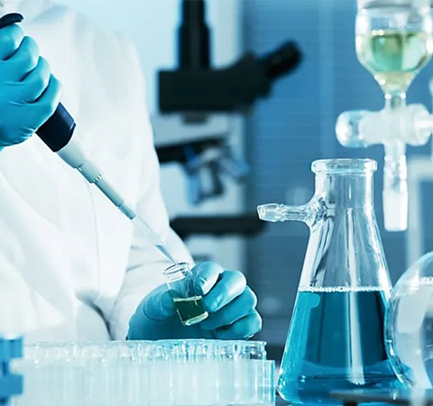 如何證明反轉(zhuǎn)錄第一鏈cDNA成功了？