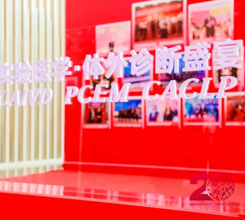 初夏盛會，精彩回顧