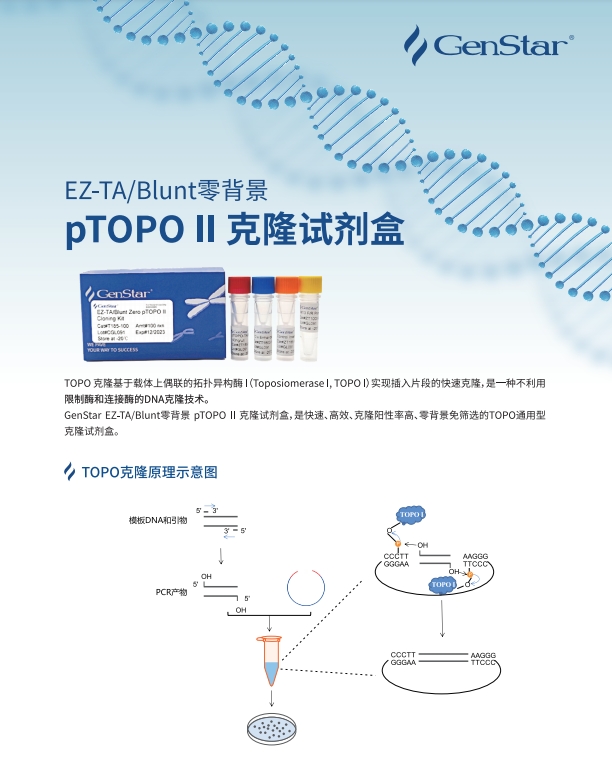 TOPO克隆產(chǎn)品